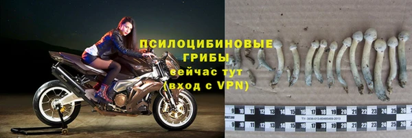 2c-b Абдулино