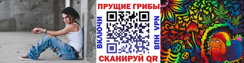 Псилоцибиновые грибы Psilocybine cubensis  Димитровград 