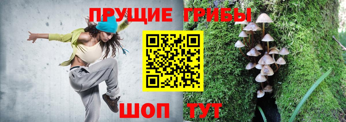 Псилоцибиновые грибы GOLDEN TEACHER Димитровград