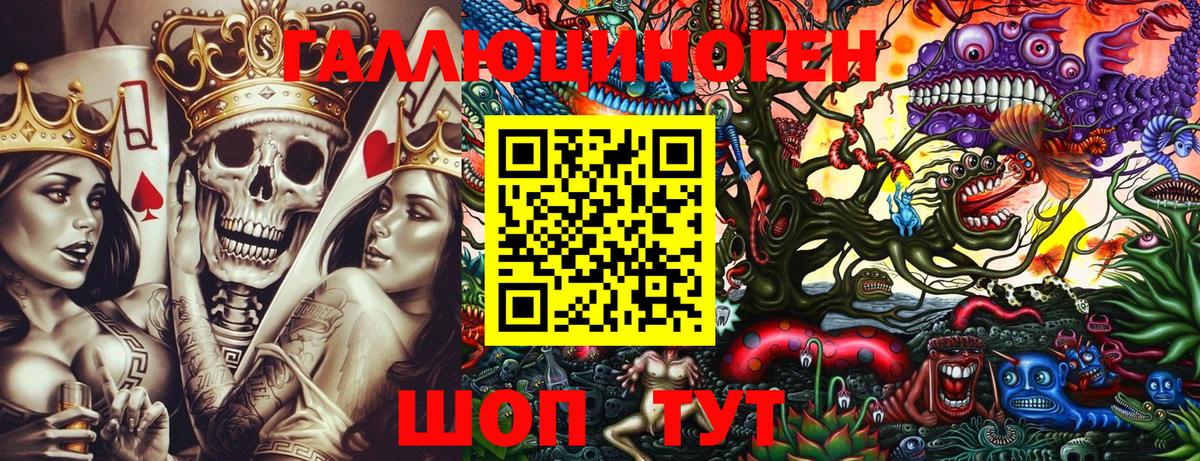 Димитровград  Галлюциногенные грибы ЛСД  Вход с VPN 