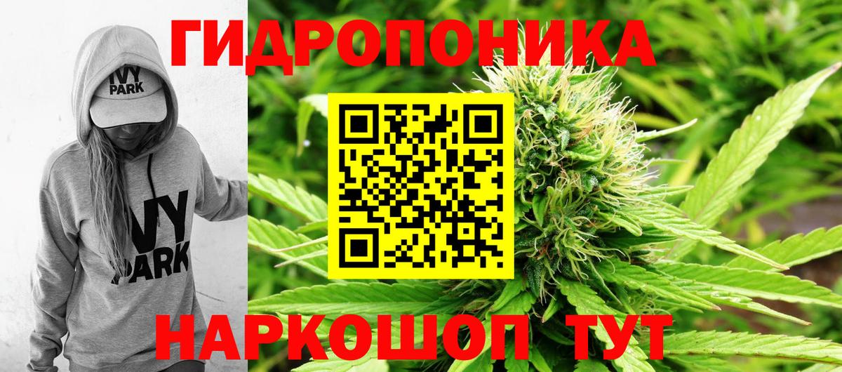 МАРИХУАНА индика Димитровград